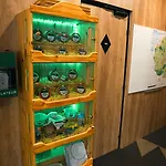 Ibis Styles Centre Historique