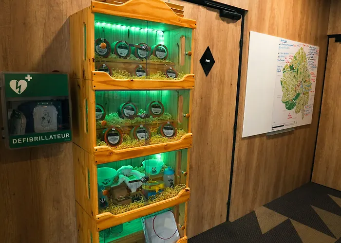 Ibis Styles Centre Historique